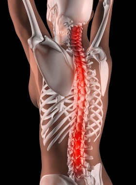 Secrets To A Healthy Spine - How To Get You(r) Back In Shape Secrets To A Healthy Spine - How To Get You(r) Back In Shape