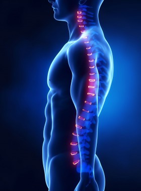 Degenerative Disc Disease And The Myth Of Worn Out Spinal Discs Degenerative Disc Disease And The Myth Of Worn Out Spinal Discs