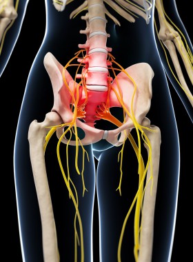 Sciatic Nerve Pain Symptoms Sciatic Nerve Pain Symptoms