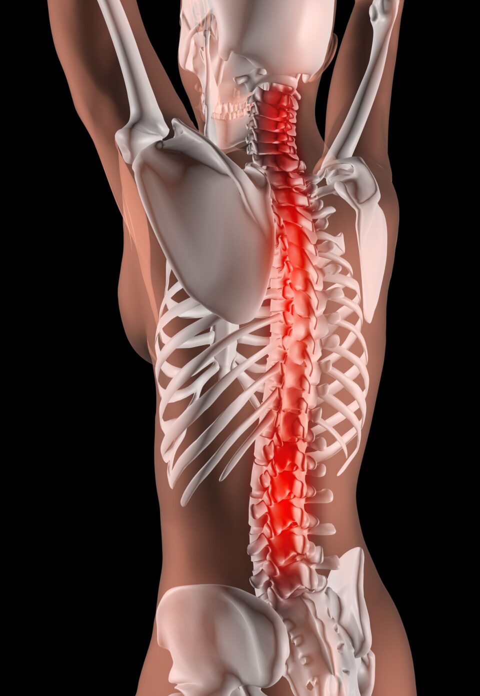 Back in pain
