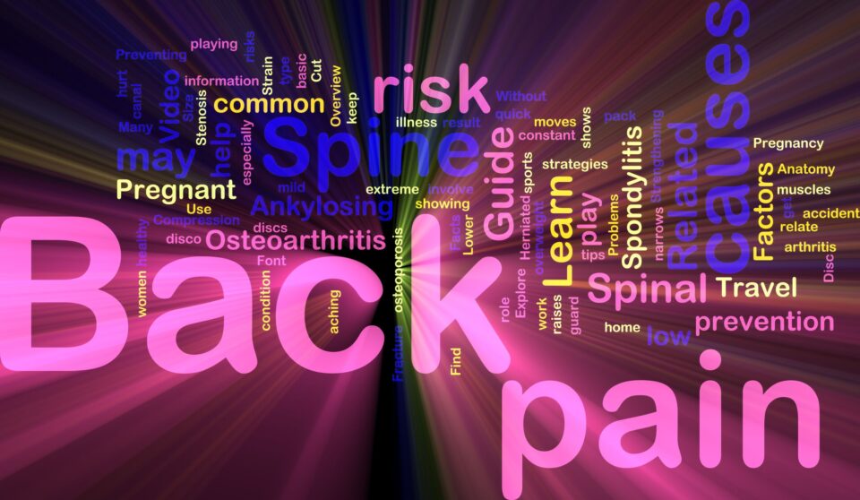 Back pain causes