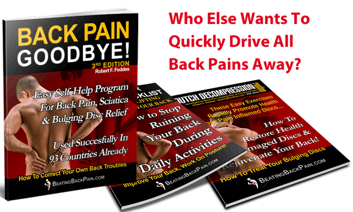 Back Pain Exercise Program.